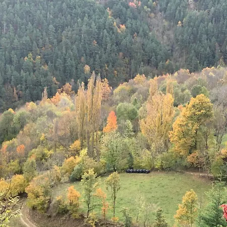 Pirineu Holiday home Neva