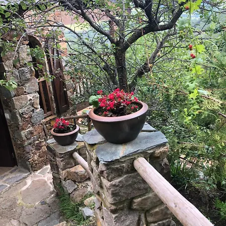 Pirineu Neva