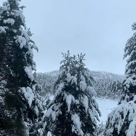 Дом отдыха Pirineu Neva