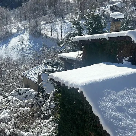 Pirineu * Neva