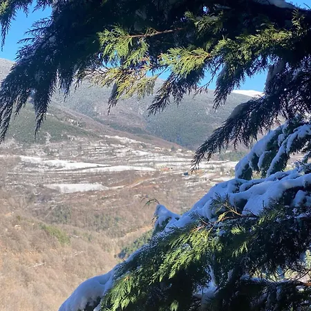 Pirineu