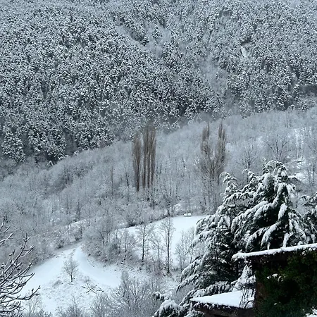 Pirineu Holiday home *